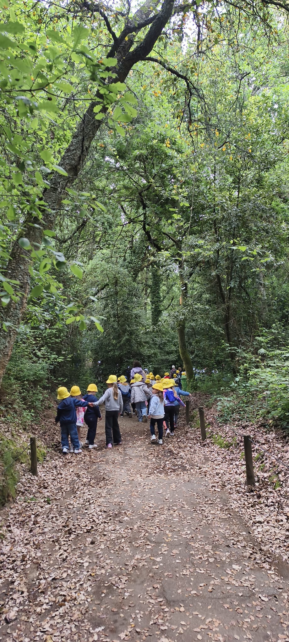 Visita de estudo – Crianças da Educação Pré-Escolar